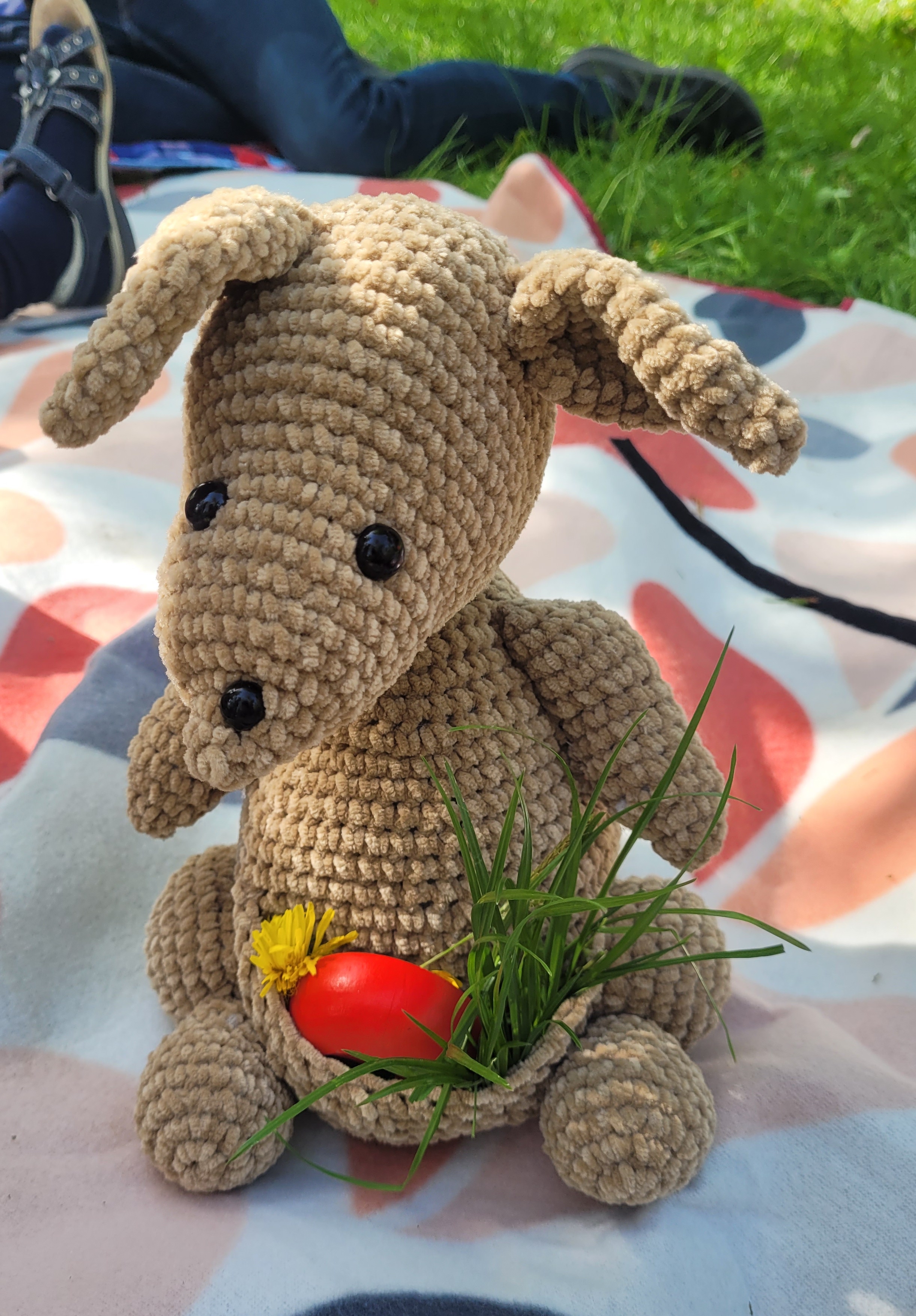 Kaenguru_2